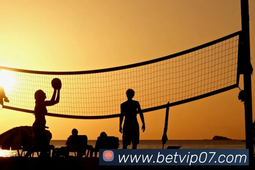bet365comAPP 封面图